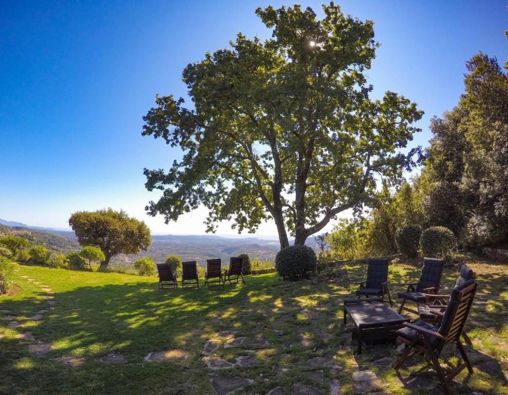 Domaine Du Bois D'Amont Διαμέρισμα Cabris Εξωτερικό φωτογραφία